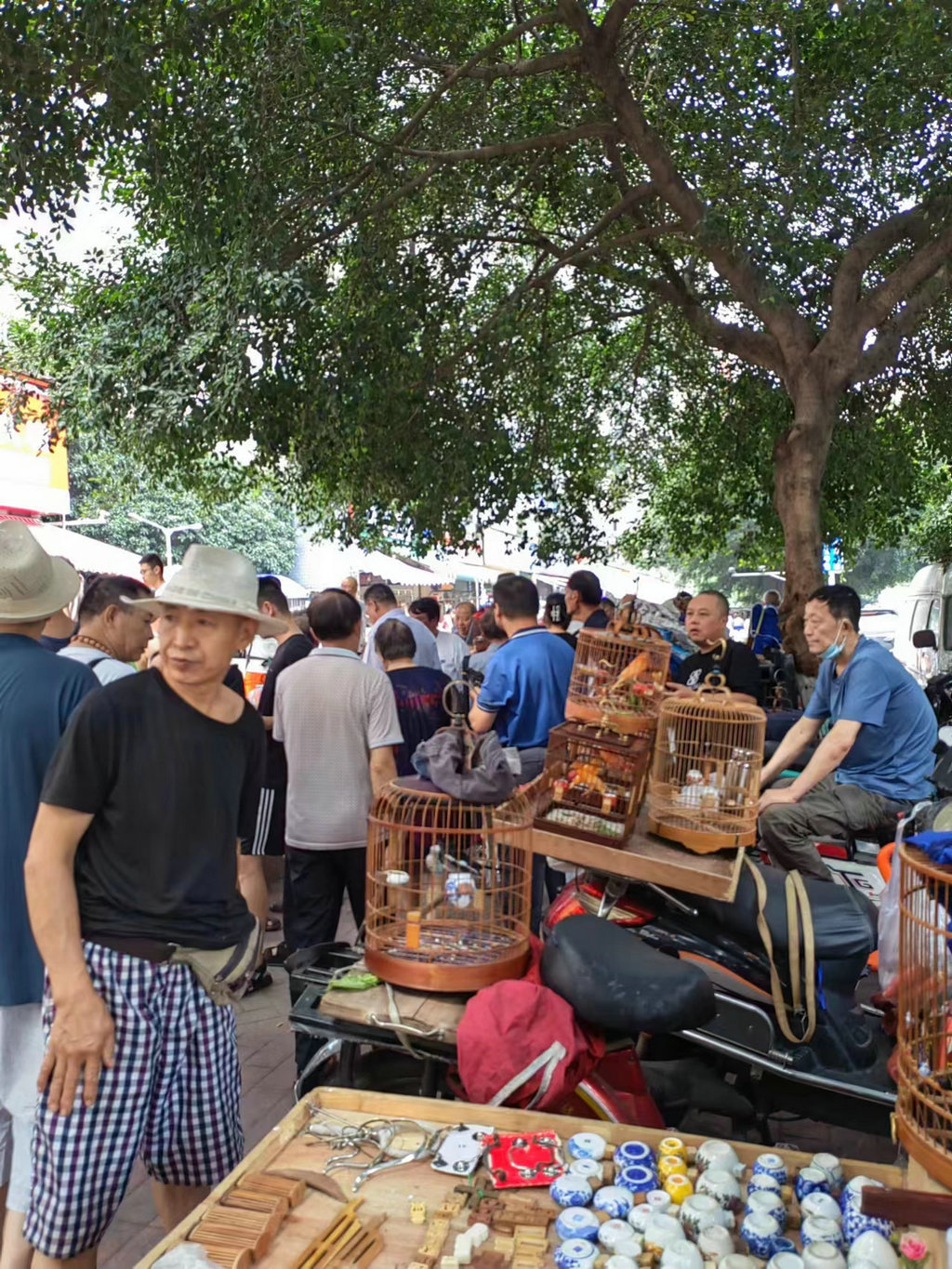 成华区东篱鸟市