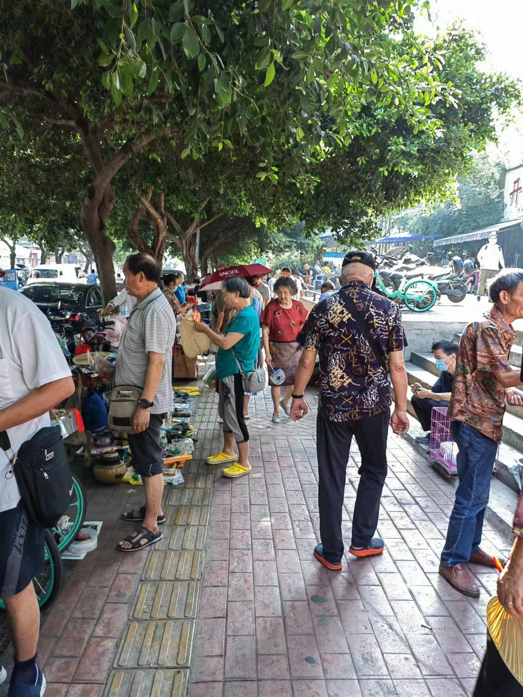 成华区东篱鸟市