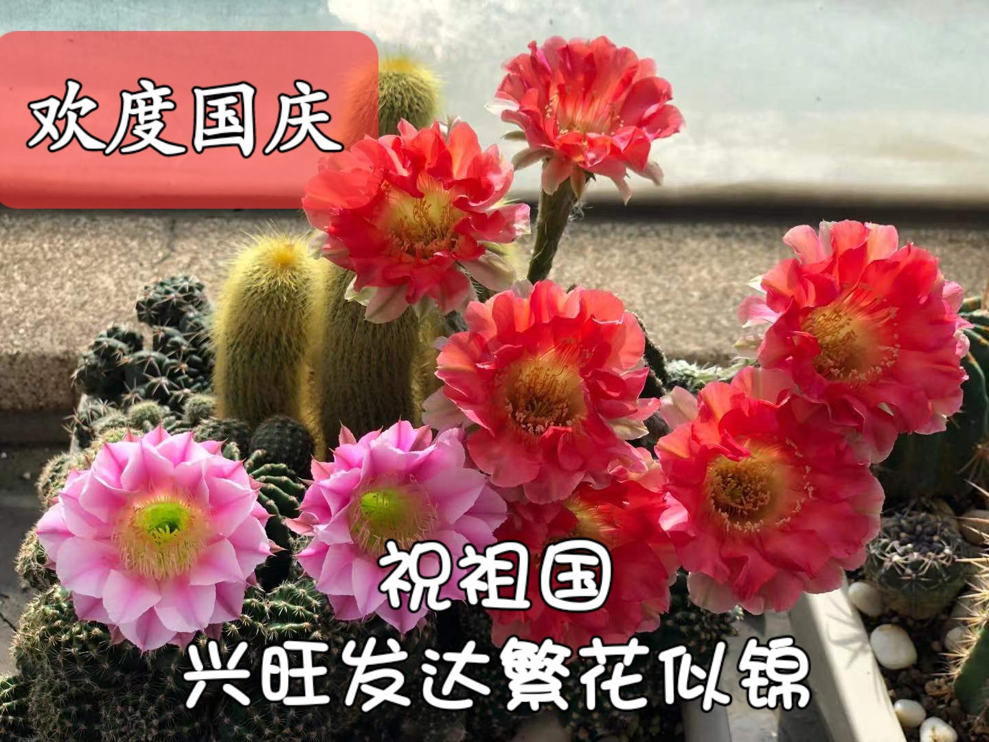 国庆节.jpg